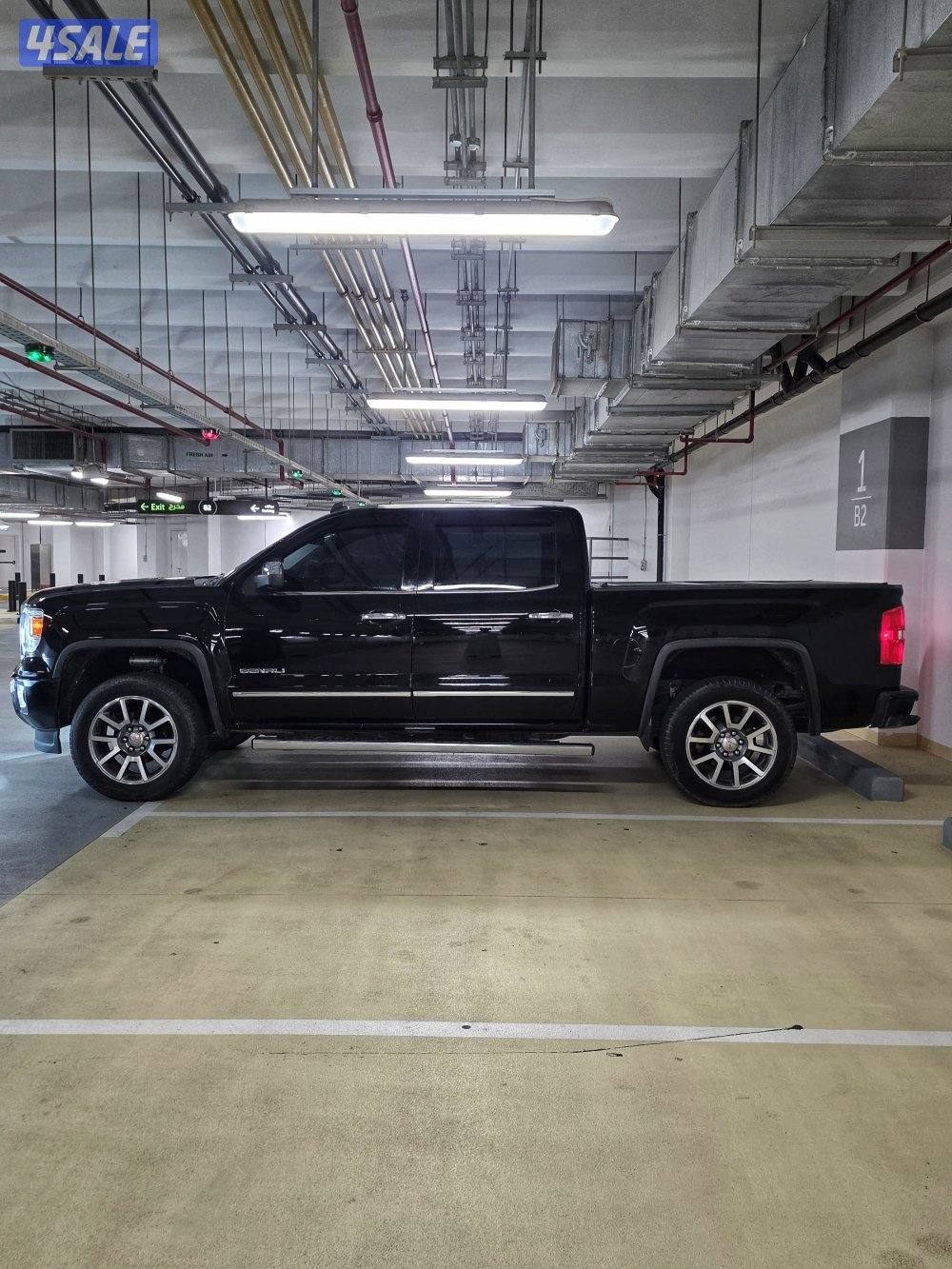 وانيت دينالي 20153