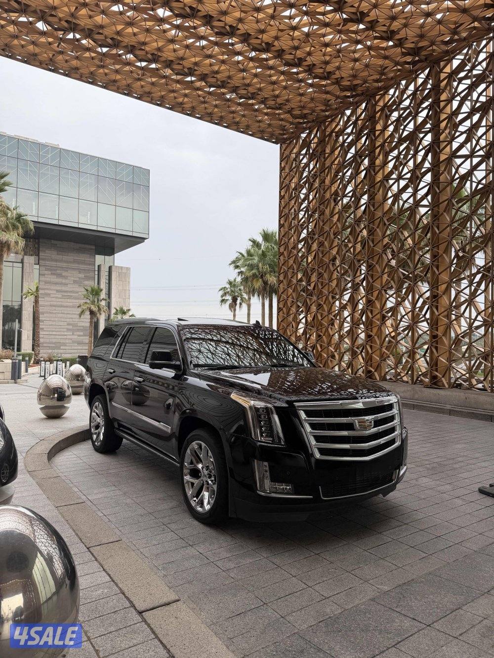 سكاليد 2016 شرط الفحص1