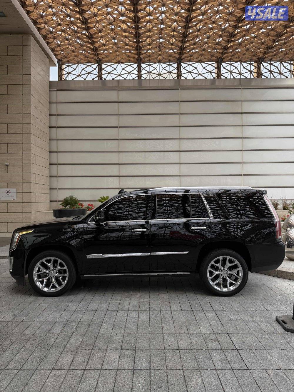 سكاليد 2016 شرط الفحص4