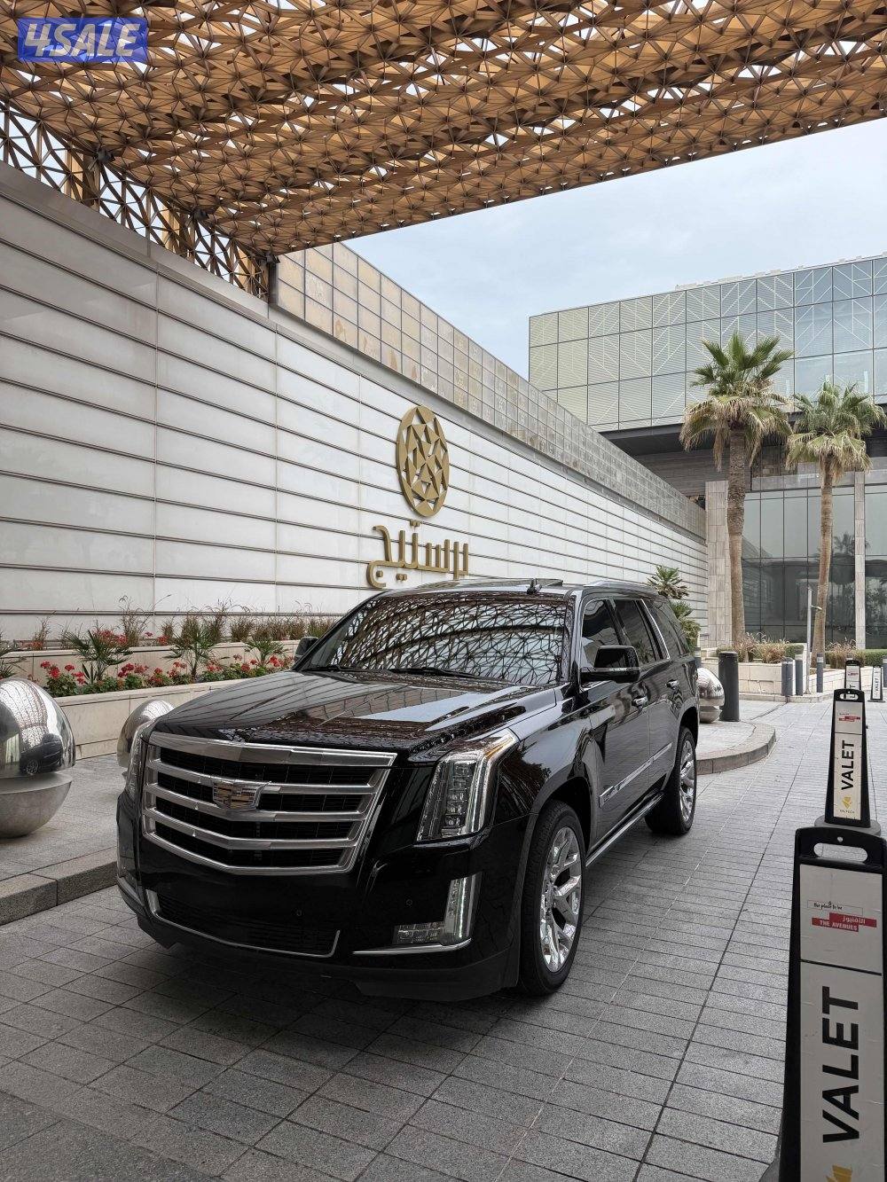 سكاليد 2016 شرط الفحص5