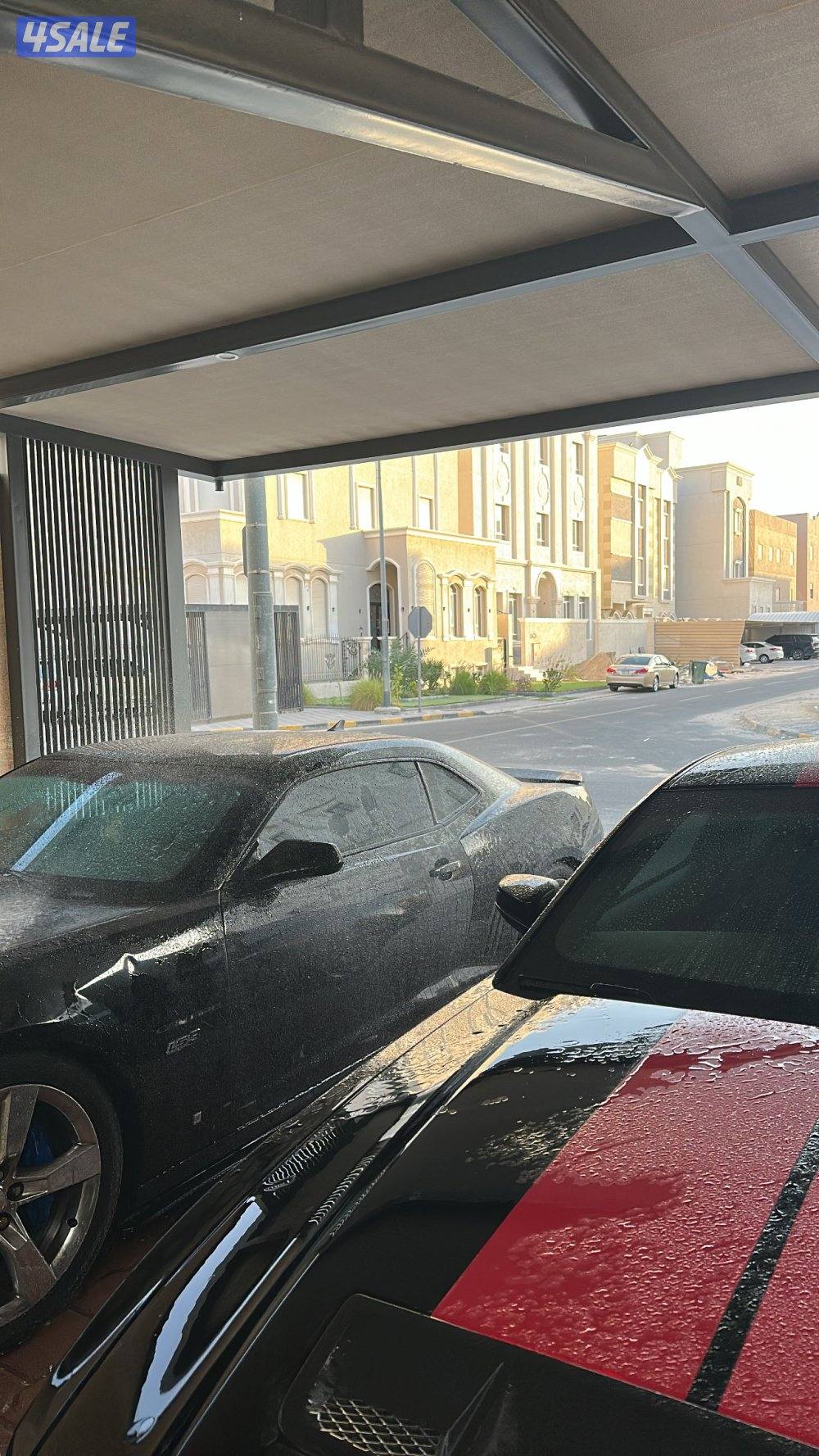 قير عادي 20104