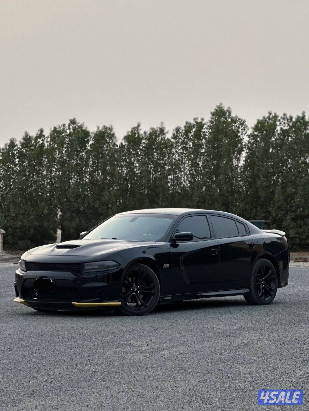 للبيع دوج شارجر RT 20203