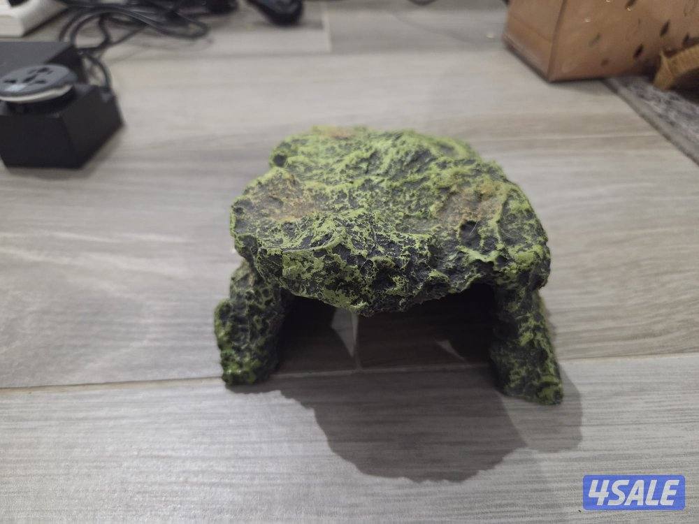 للبيع حيه بول بايثون5