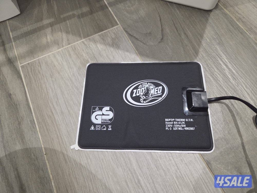 للبيع حيه بول بايثون7