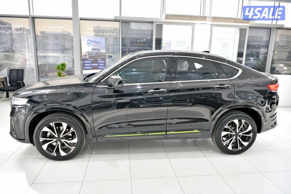 جيلي توجيلا2