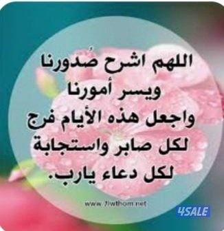 سوري باحث عن عمل0