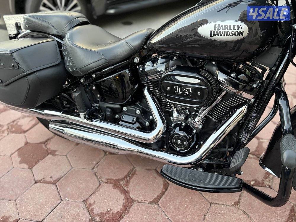 للبيع هارلي هيرتج4