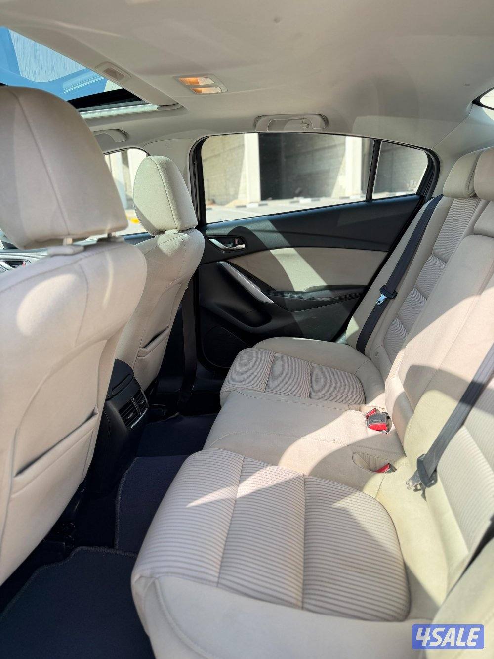 📍معرض القرين الدولية 📍6