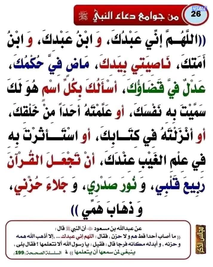 مدرس إسلامية وتحفيظ قرأن بأحكام التجويد وتأسيس ضعاف القراءة والكتابة0