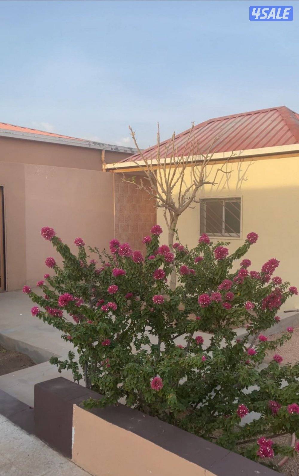 استراحه في منطقة الطائف عشيرة11