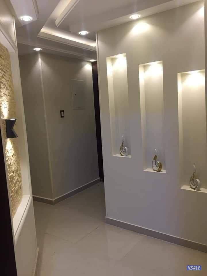 اصباغ ابو علي8