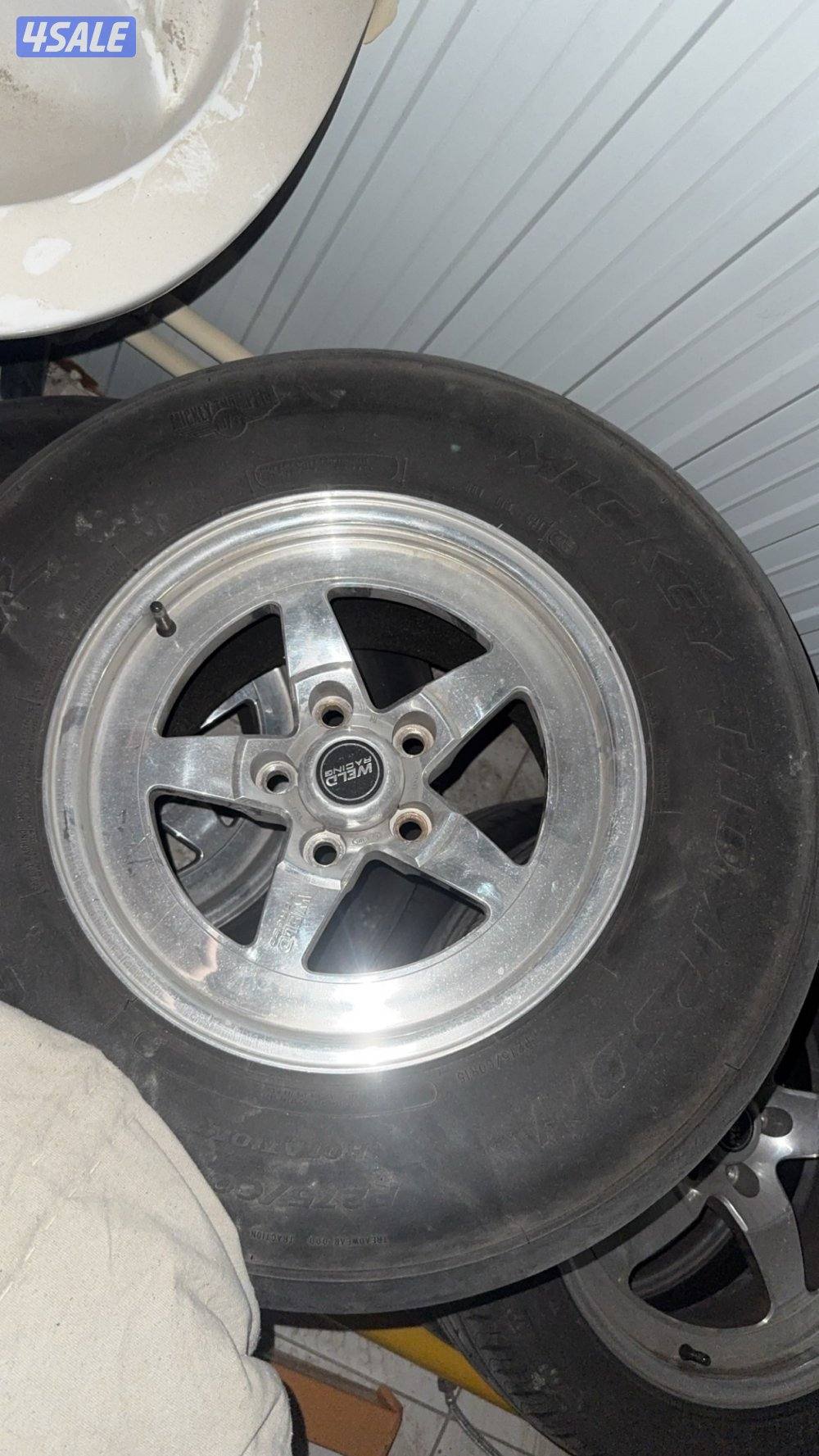 للبيع ولدات وتواير1