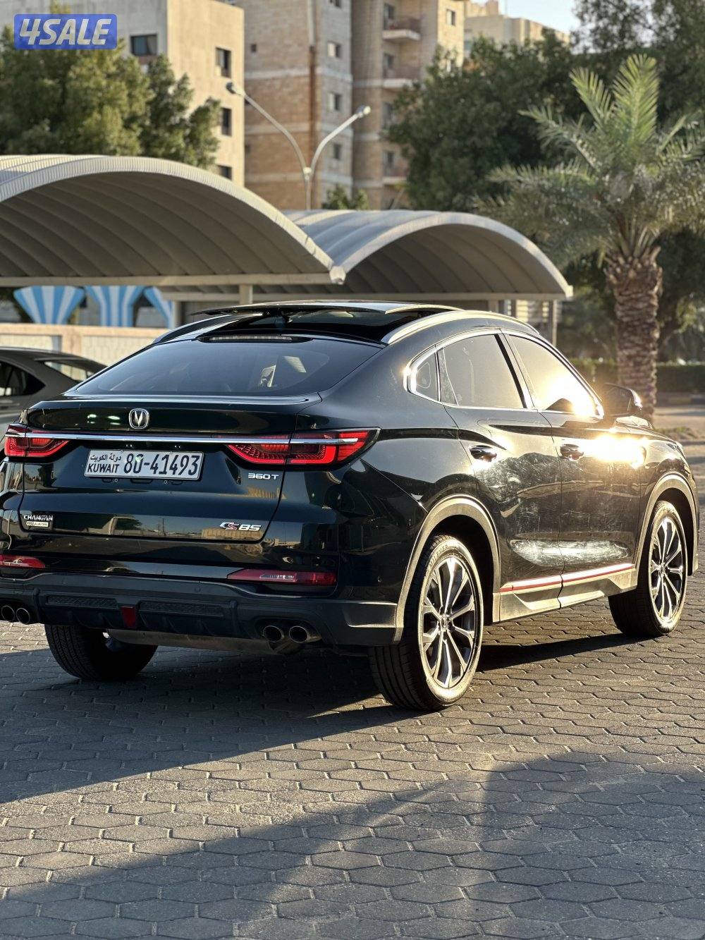 صبغ وكالة تحت الكفالة بحالة المصنع CS-85 موديل 20240