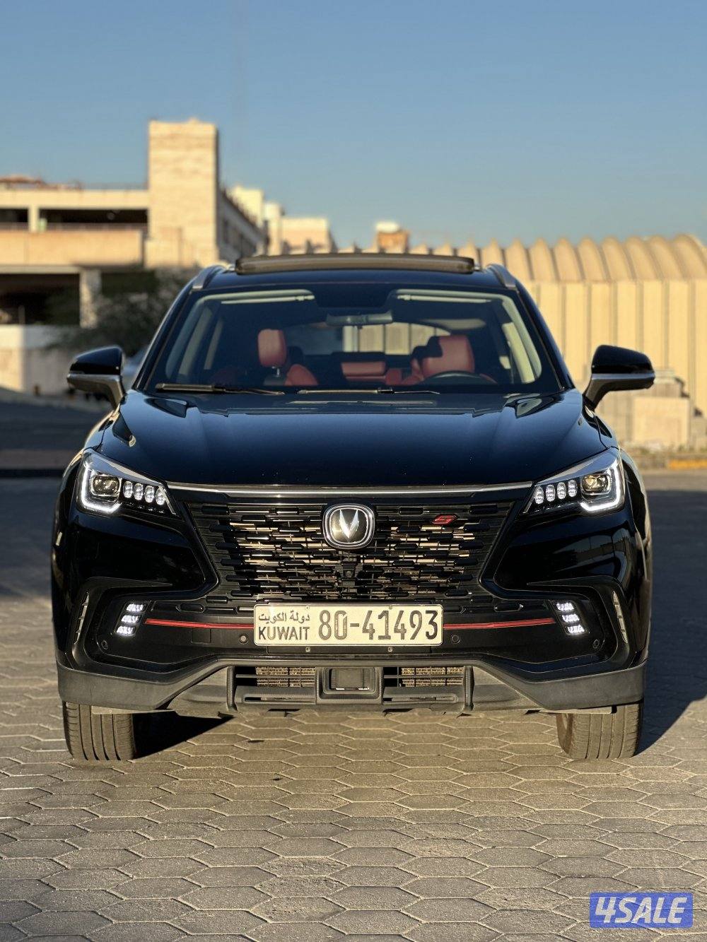 صبغ وكالة تحت الكفالة بحالة المصنع CS-85 موديل 20245