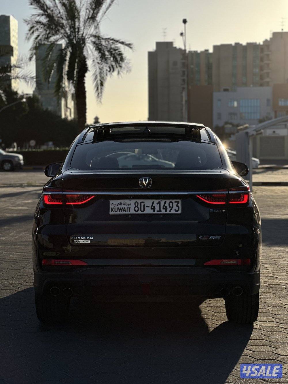 صبغ وكالة تحت الكفالة بحالة المصنع CS-85 موديل 20247