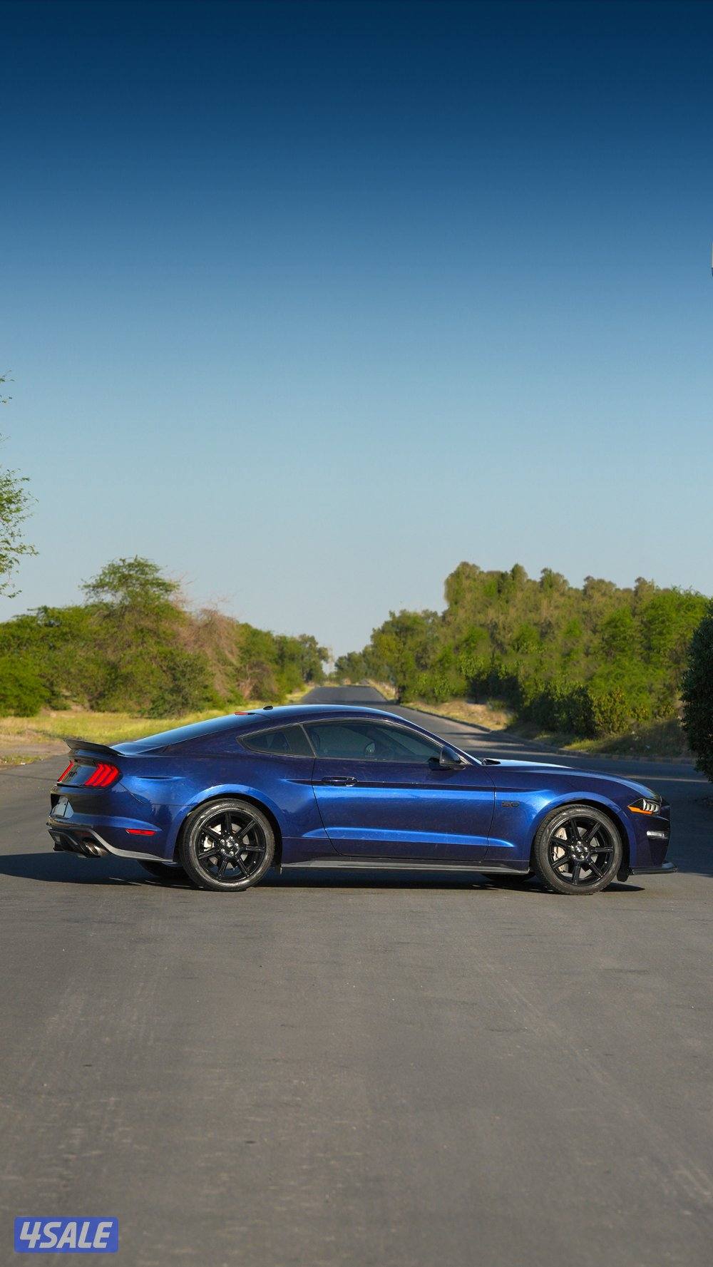 موستنج بريميوم1