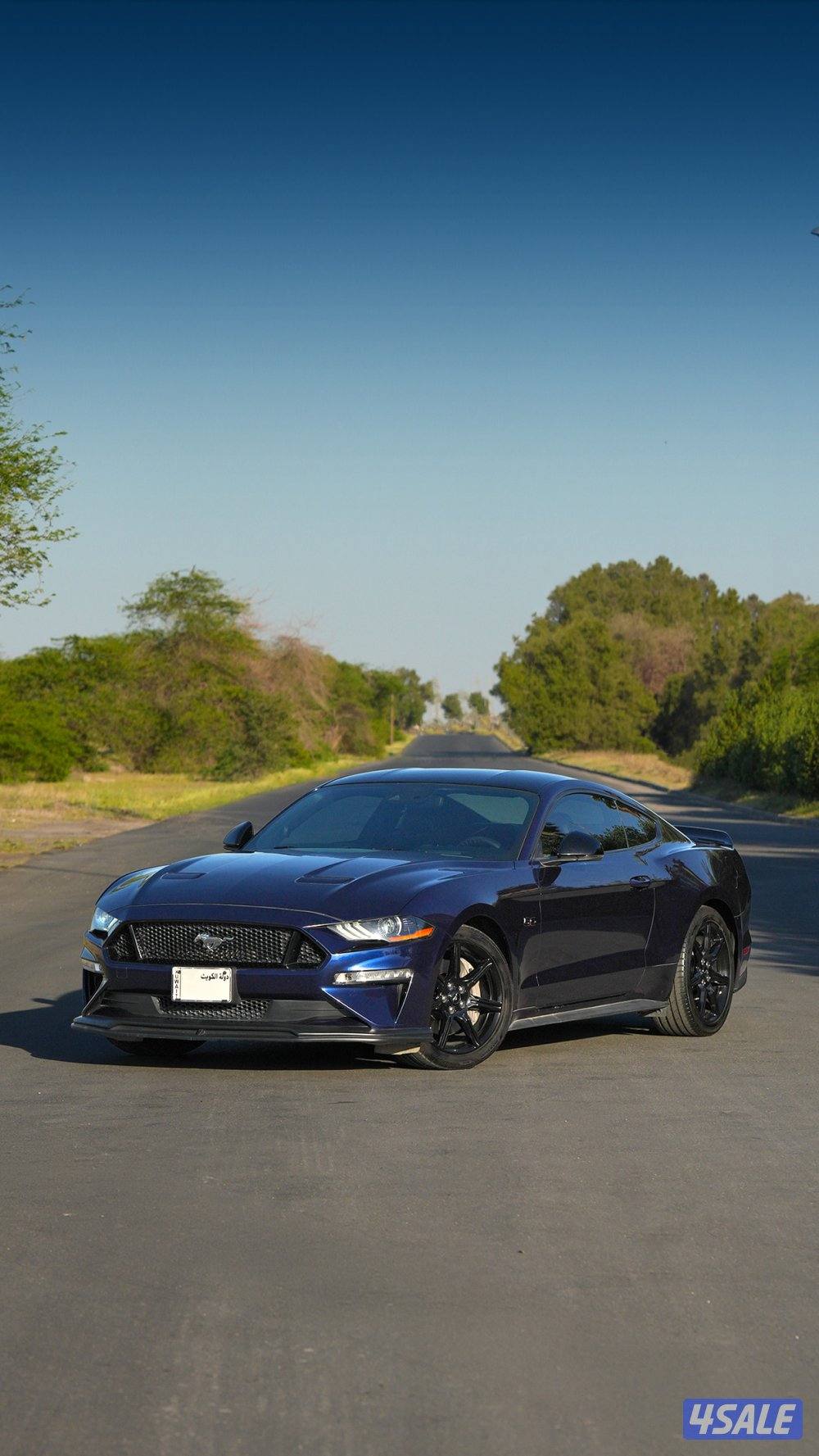 موستنج بريميوم2