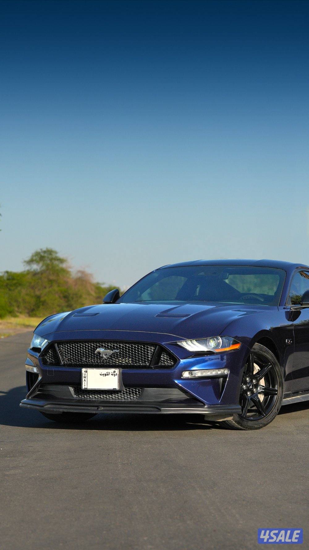 موستنج بريميوم4