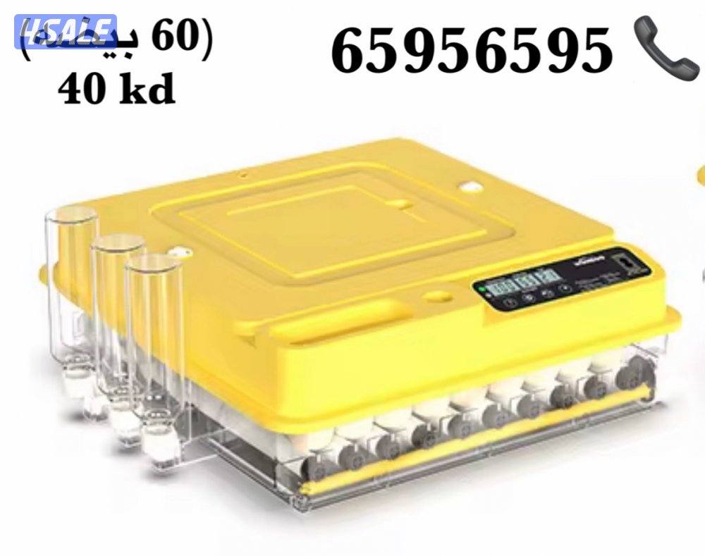 فقاسات بيض التواصل واتساب0