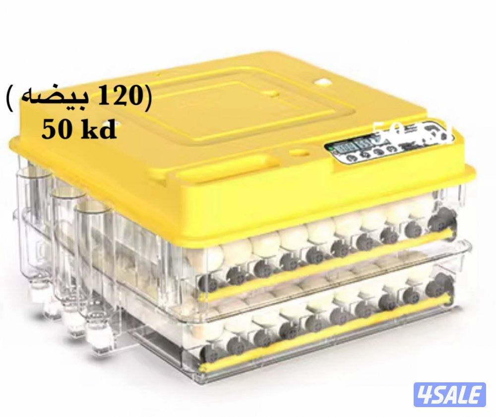 فقاسات بيض التواصل واتساب1