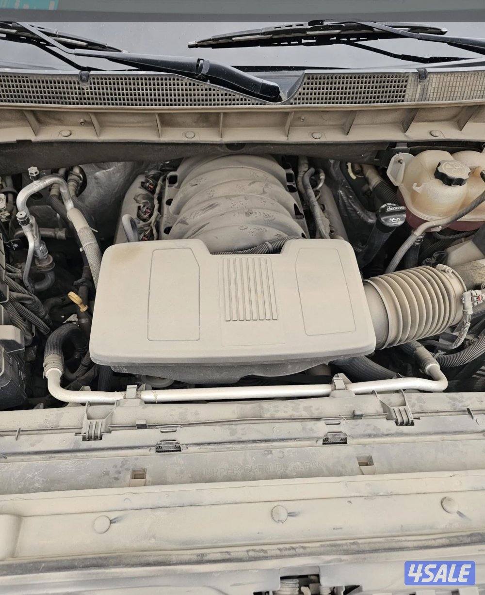 الشامية، ق٨13