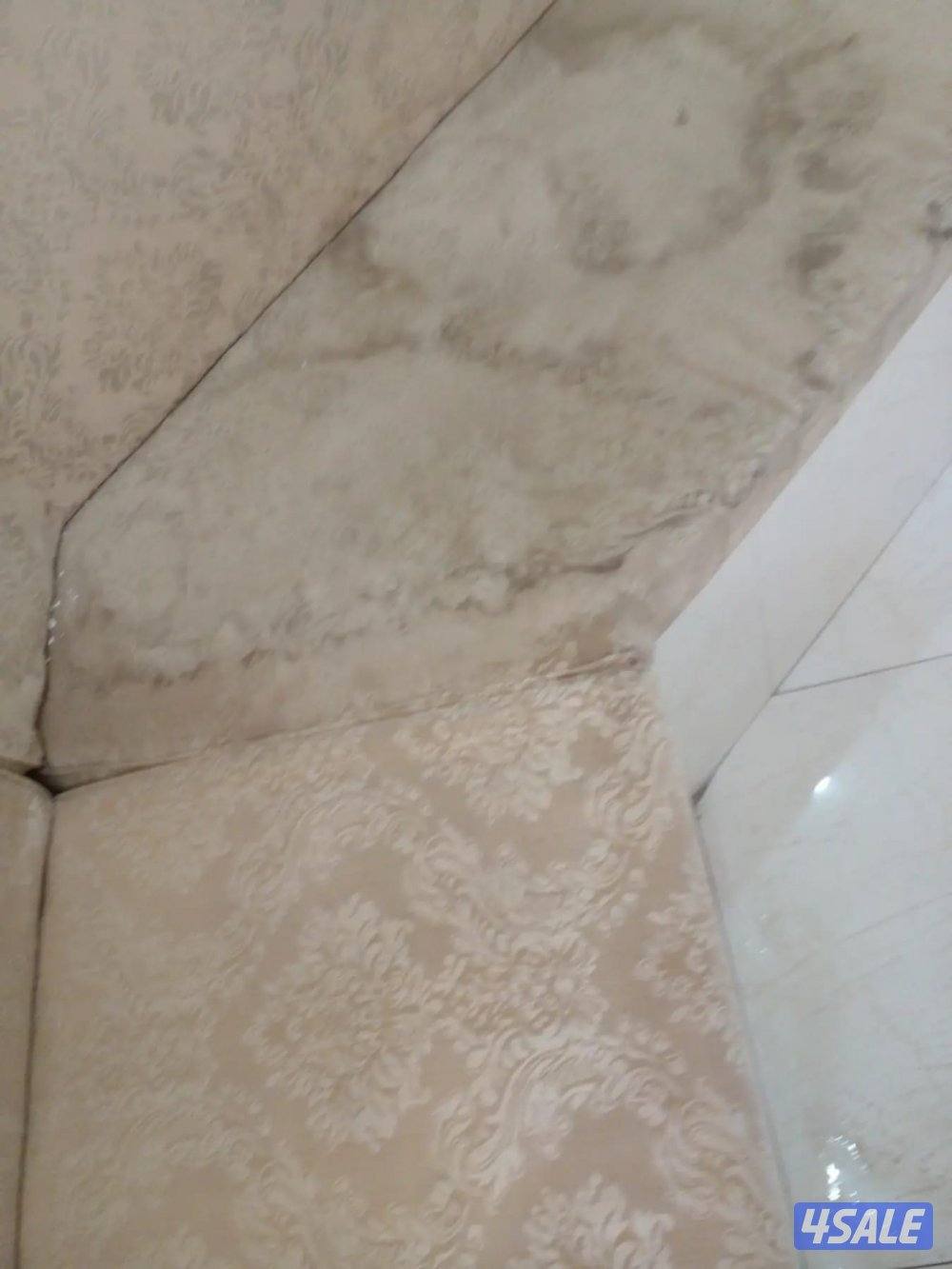 غسيل بالشامبو - تنظيف ناشف - غسيل سجاد برادي - اثاث - كنفات - شيراميك7