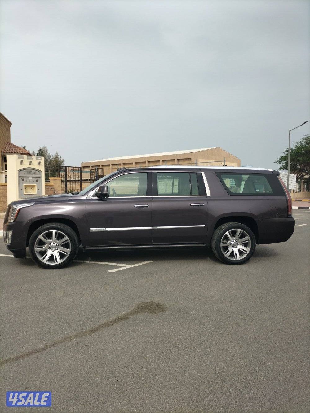 للبيع اسكاليد طويل6