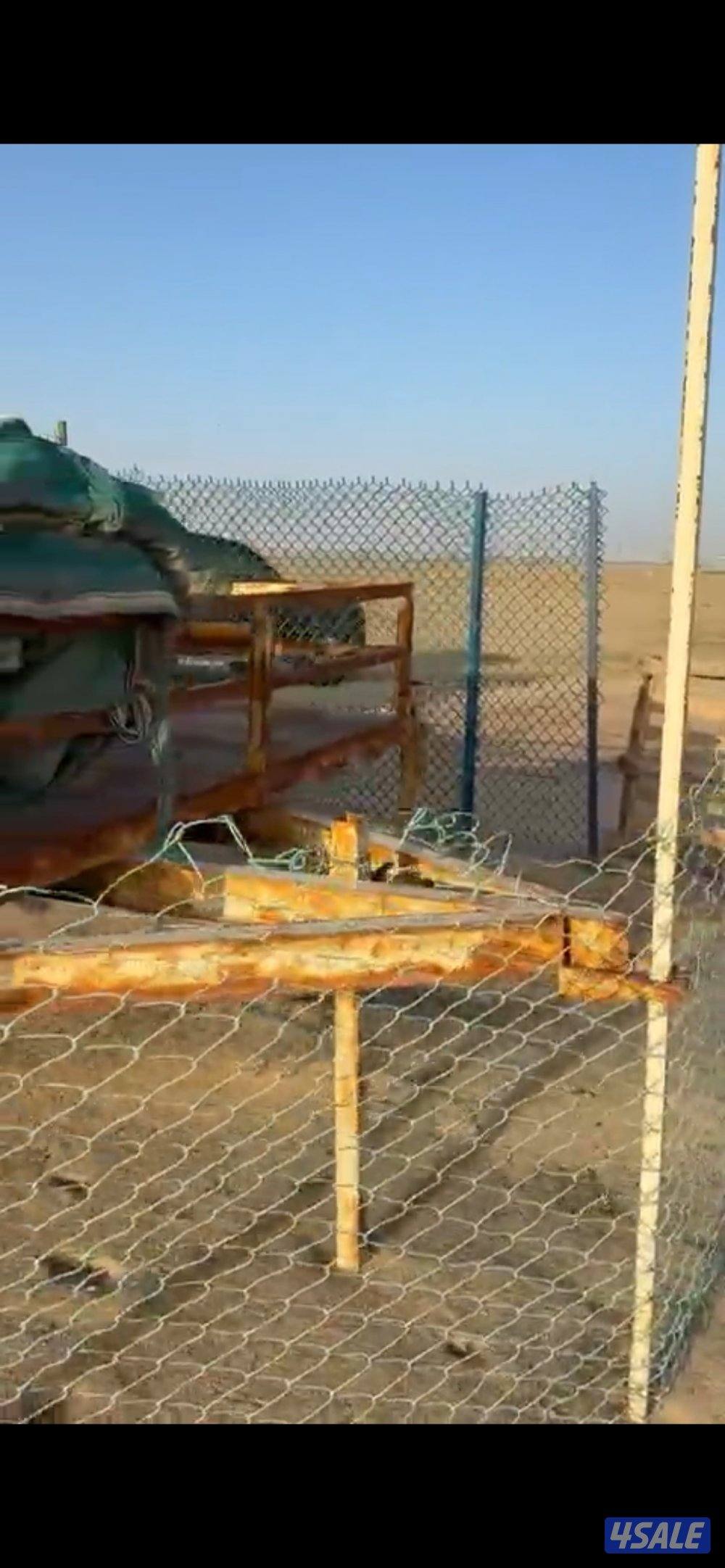 عرزاله ٦/٣ ارضيه شكر بليت حديد1