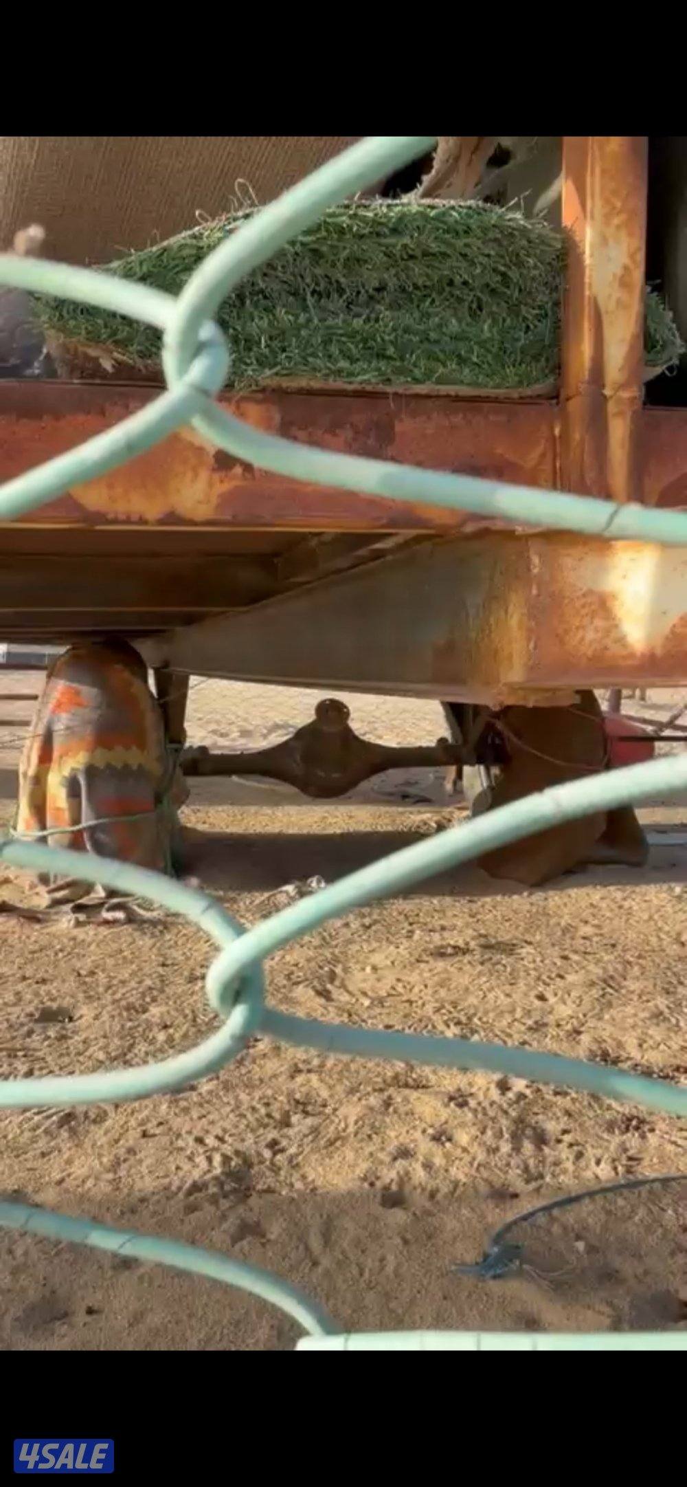 عرزاله ٦/٣ ارضيه شكر بليت حديد5