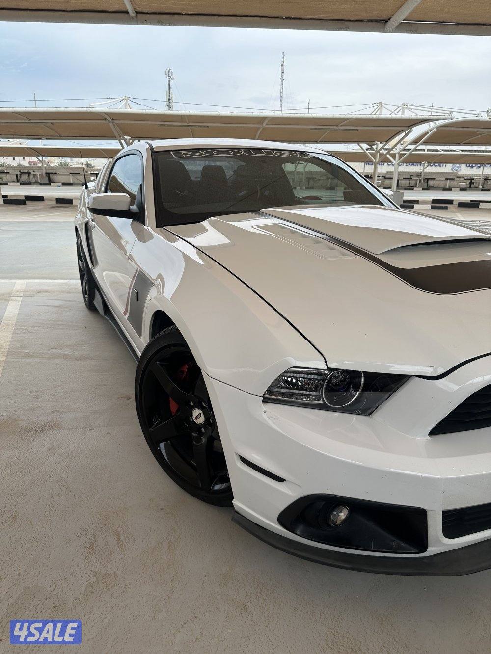 موستنق روش للبيع 20147