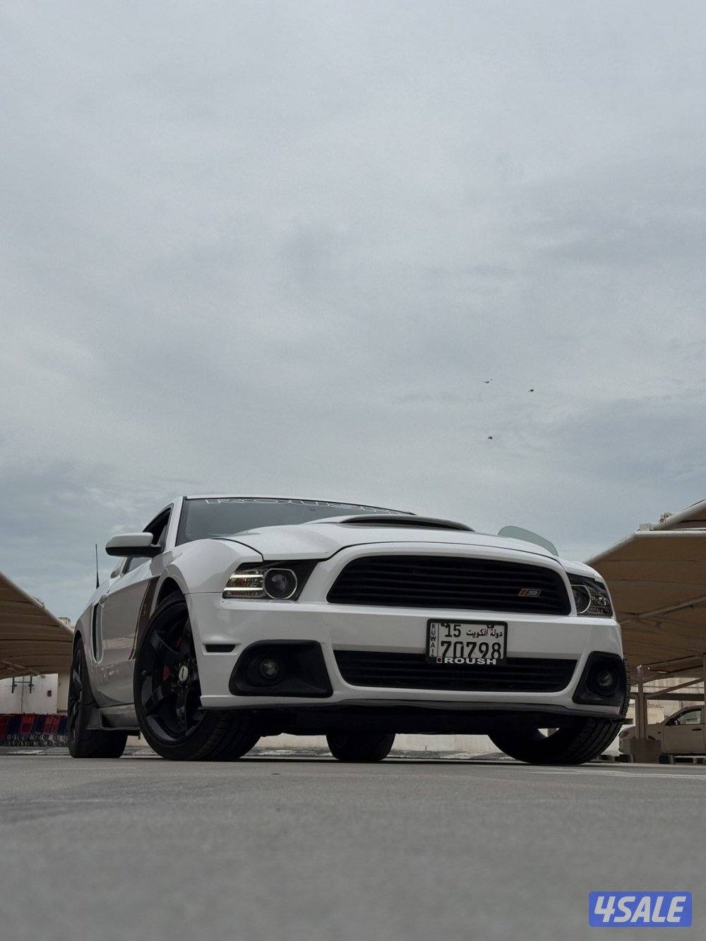 موستنق روش للبيع 20146