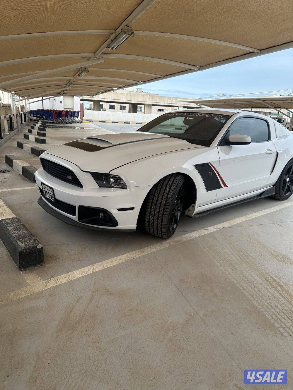 موستنق روش للبيع 20148