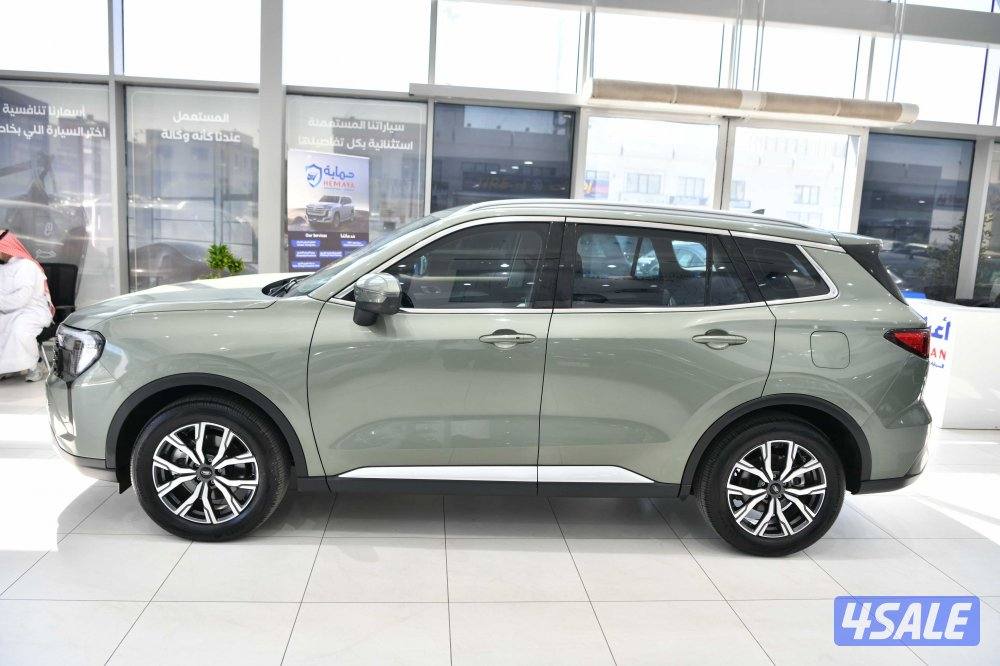 فورد تيريتوري2