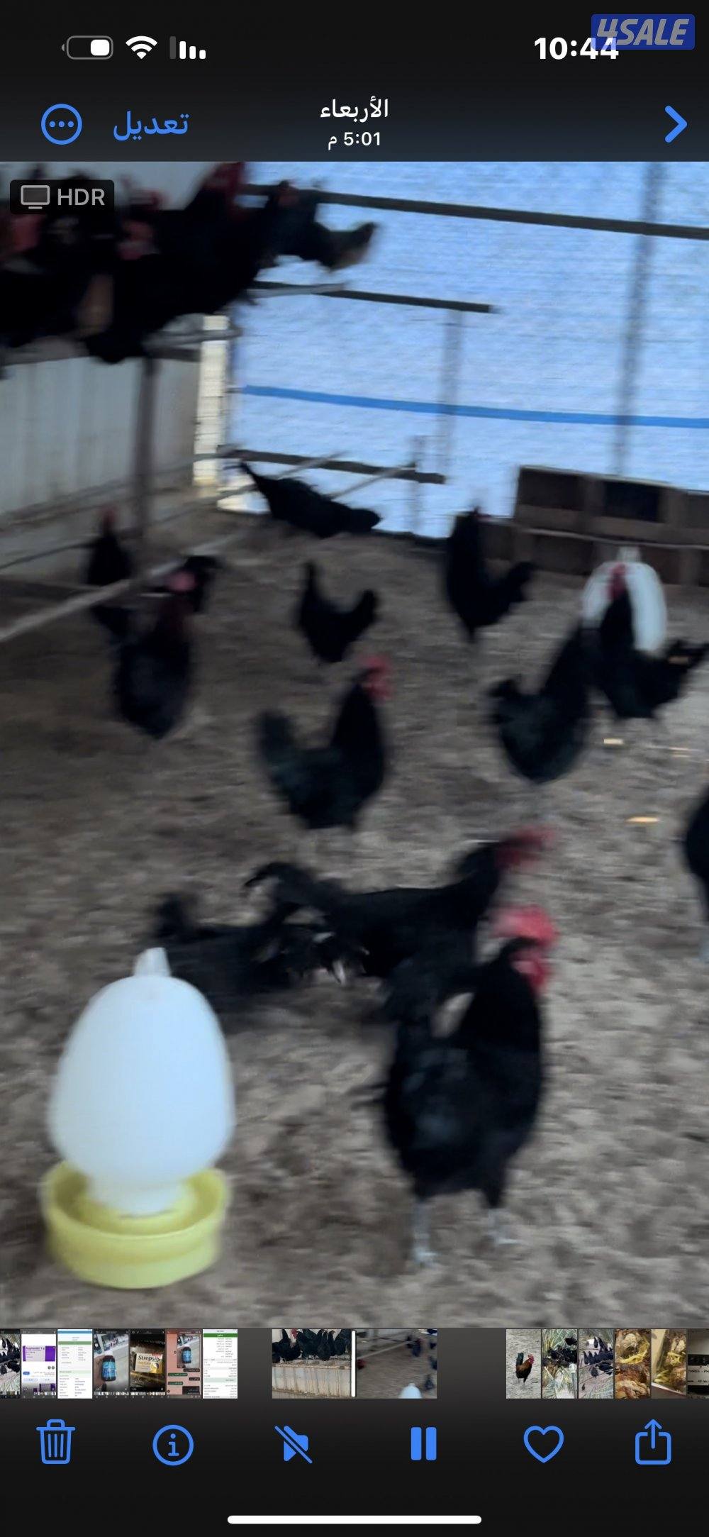 ‏مزارع الوفرة طريق 7005