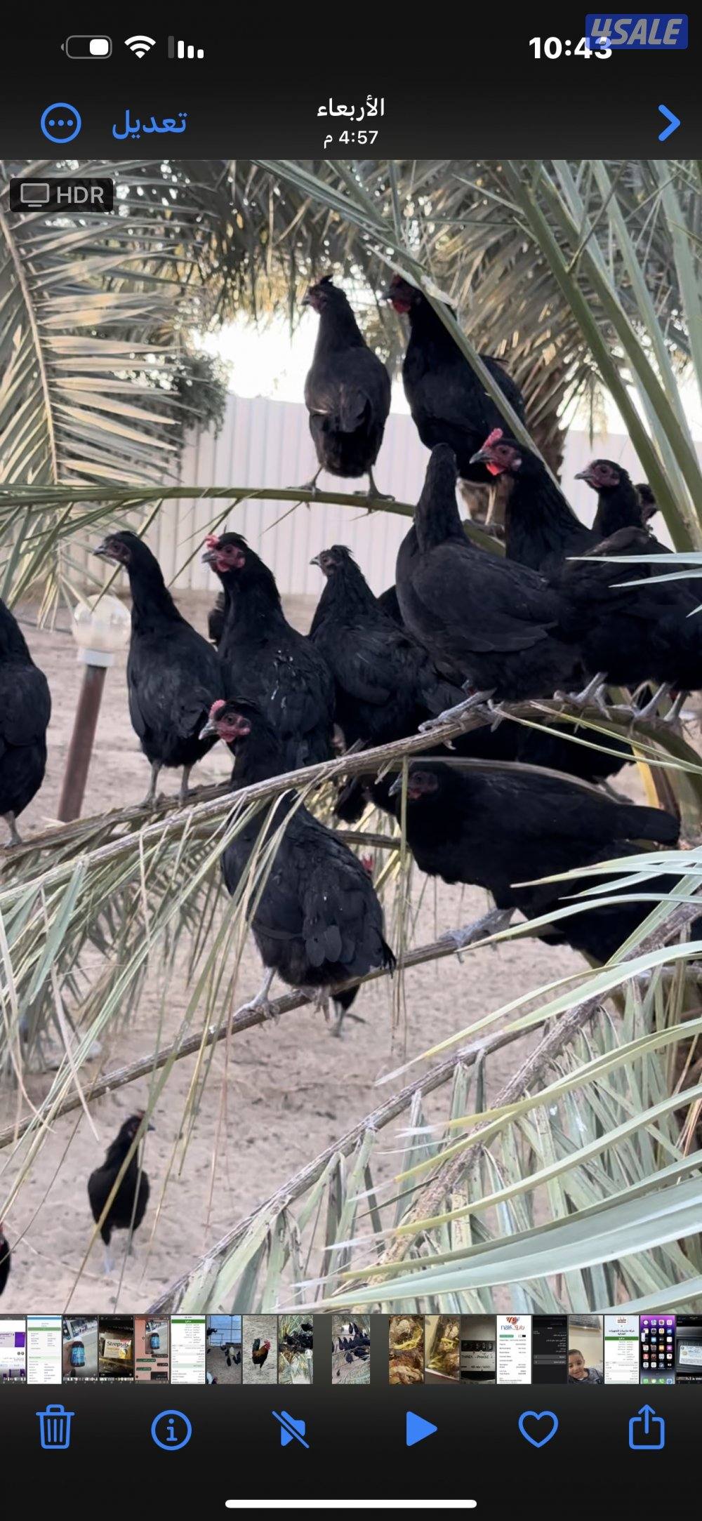 ‏مزارع الوفرة طريق 7006