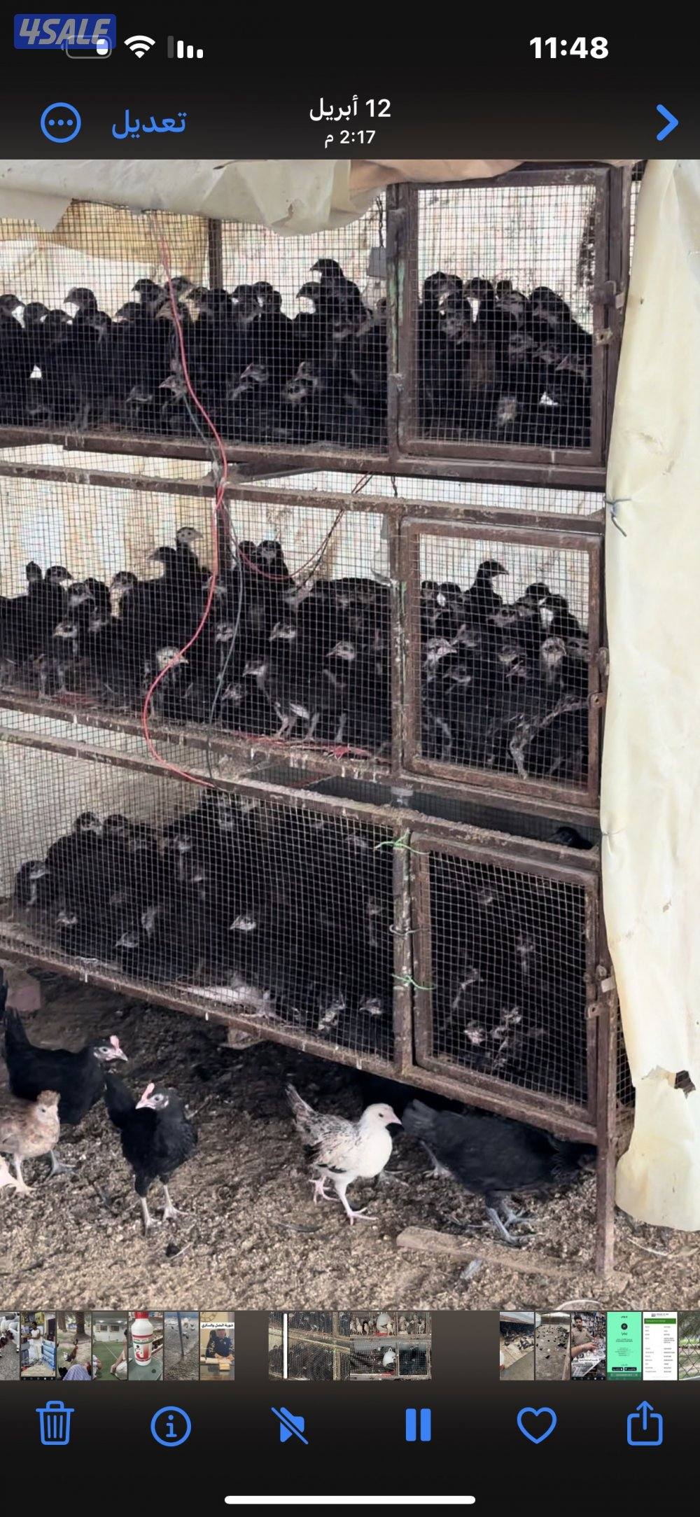 ‏مزارع الوفرة طريق 70011