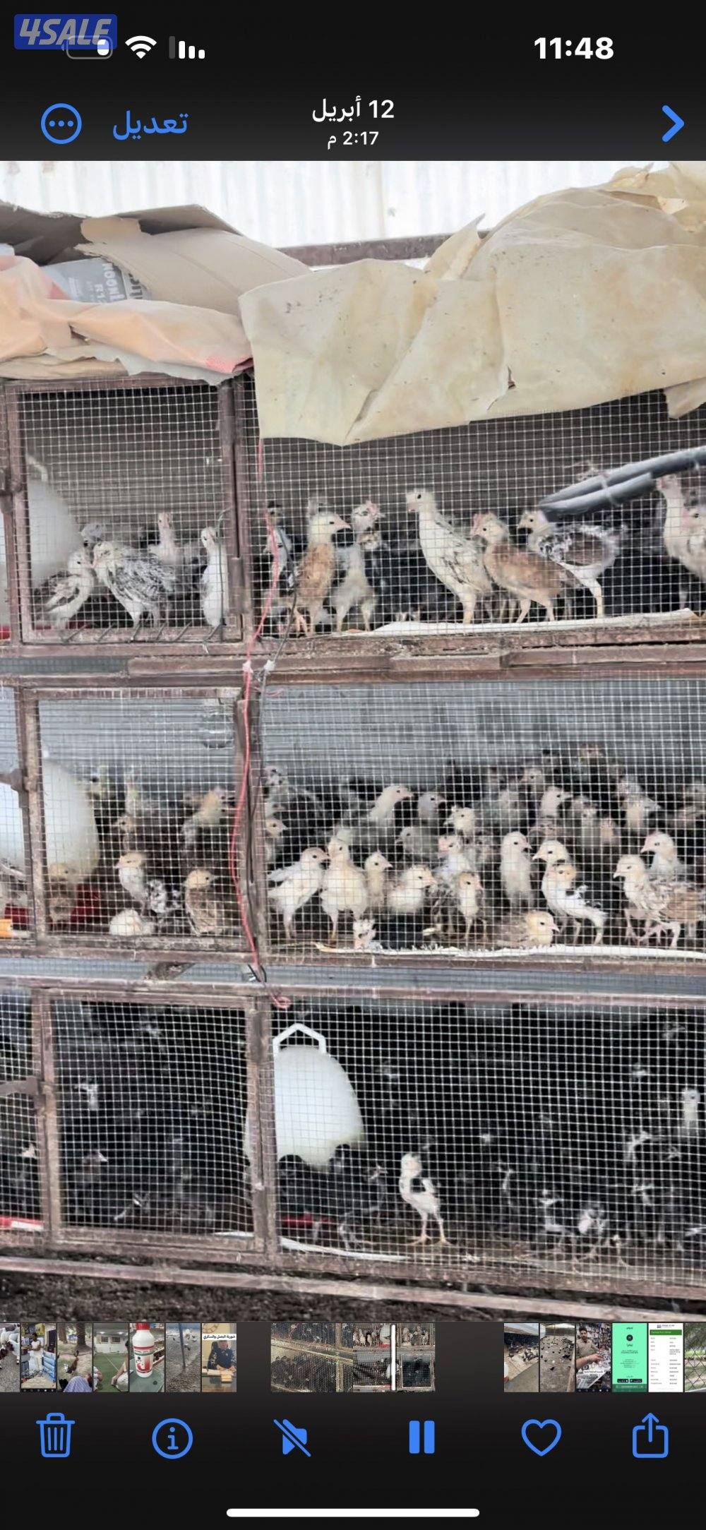 ‏مزارع الوفرة طريق 70012