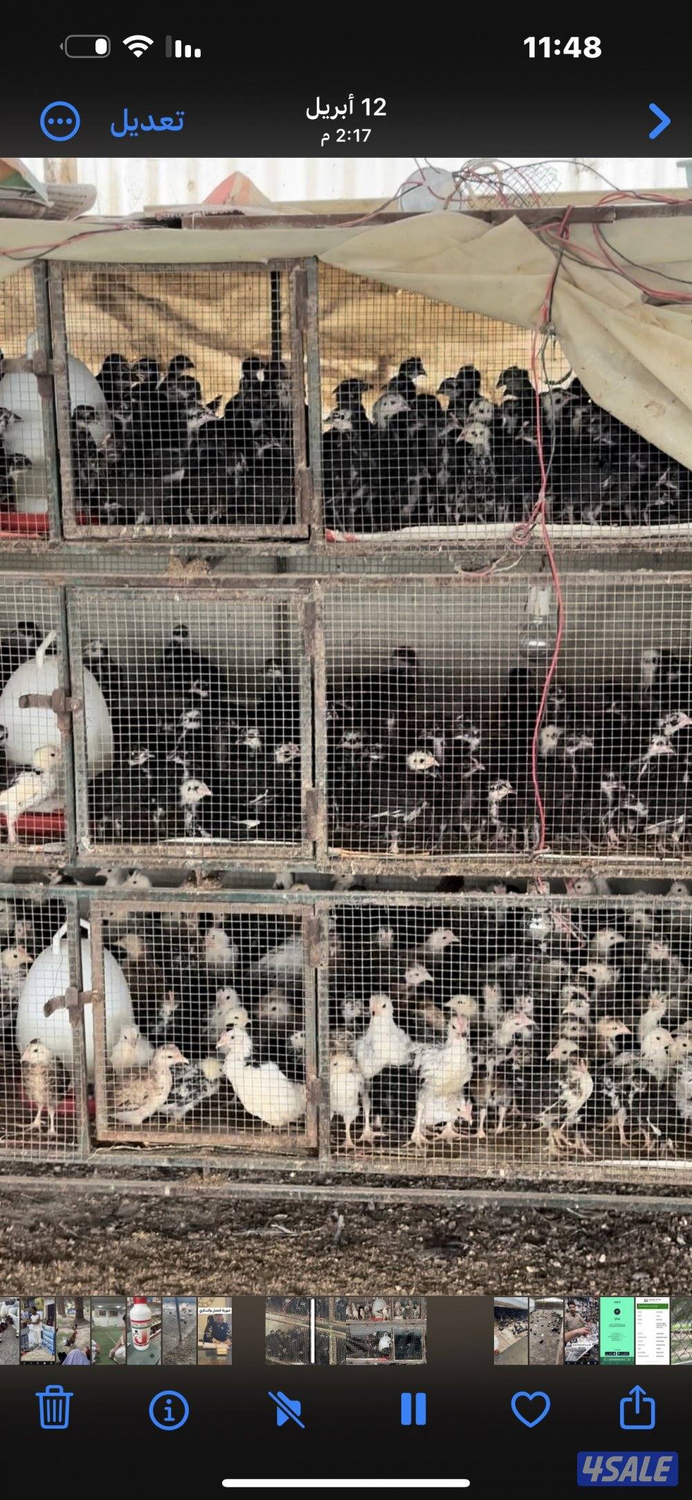 ‏مزارع الوفرة طريق 70013