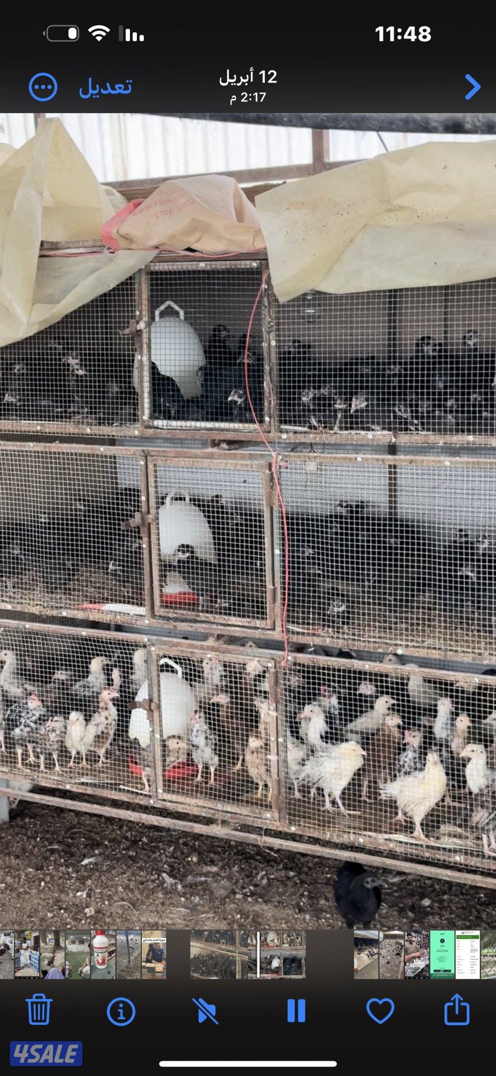 ‏مزارع الوفرة طريق 70014