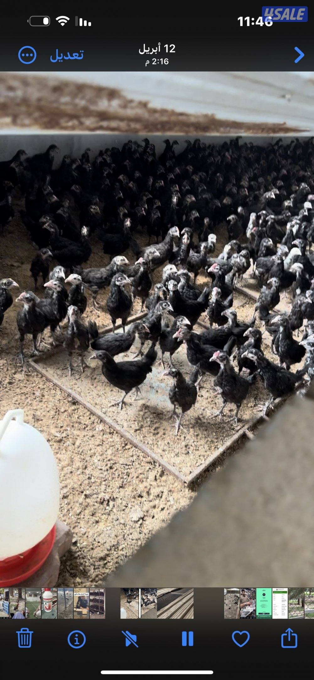 ‏مزارع الوفرة طريق 70015