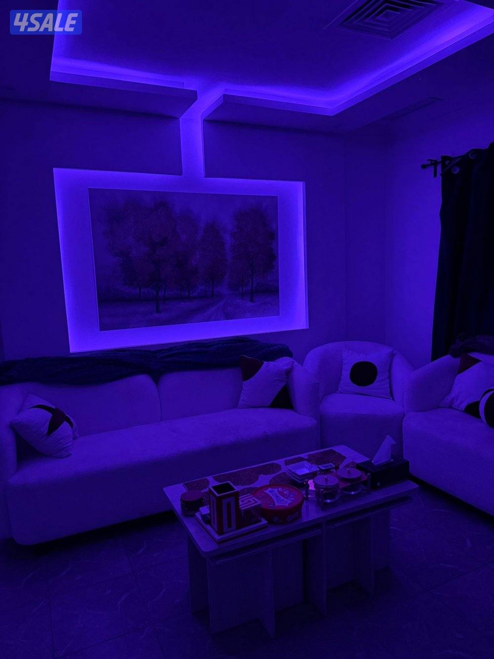 اجار يومي vip ط🌟🌟🌟🌟🌟✅0