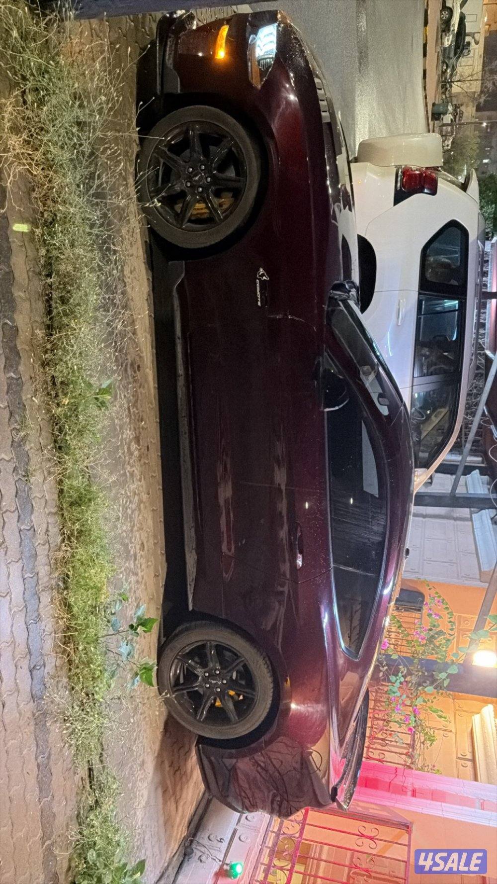 موستنق ٢٠١٨1