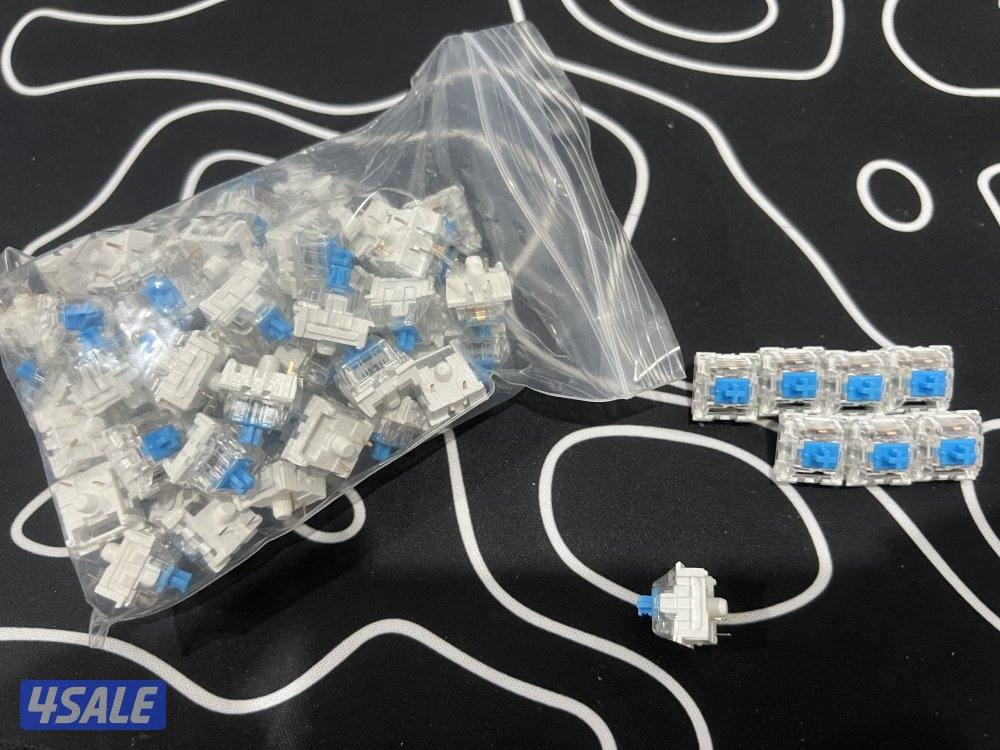 Blue switchسويتشات زرقه1