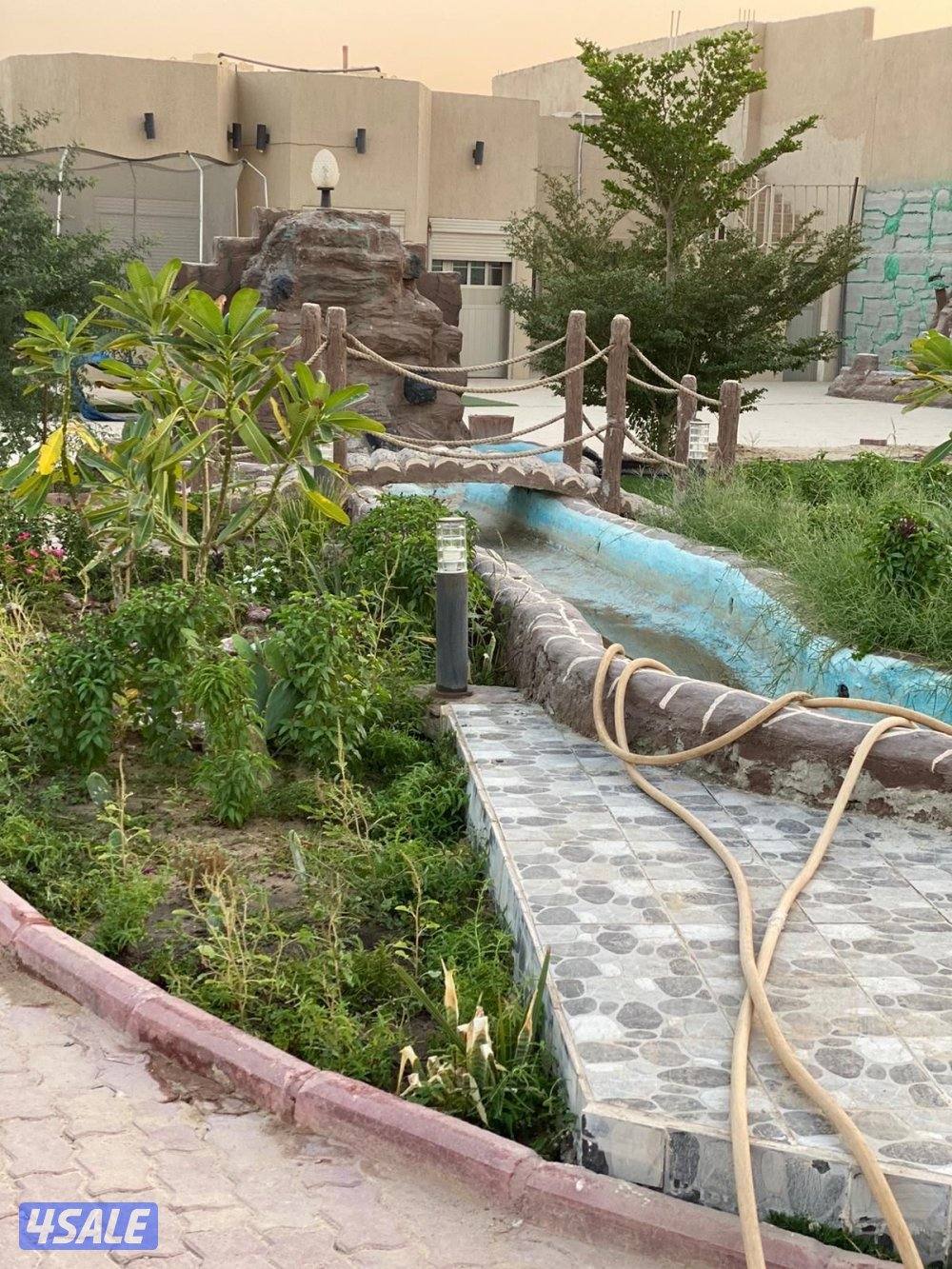 استراحه كبد العائلات  موقع منتاز واسال عن العرض5