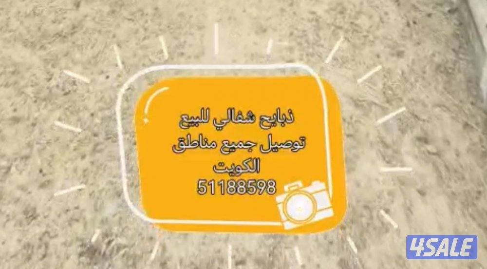 جميع مناطق الكويت0