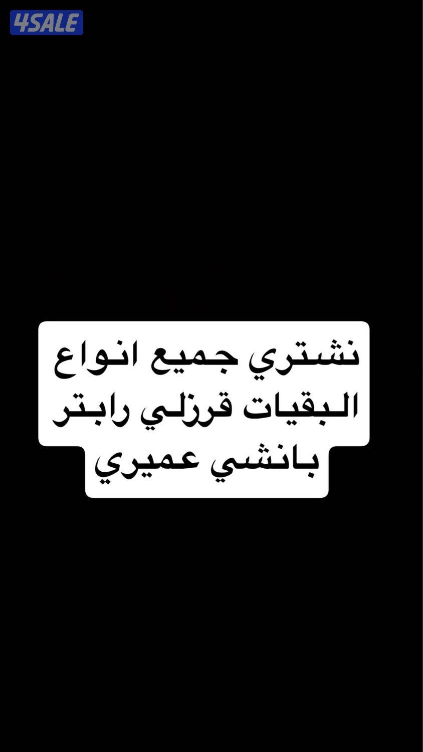 نشتري جميع انواع البقيات قرزلي وعميري ورابتر وبانشي0