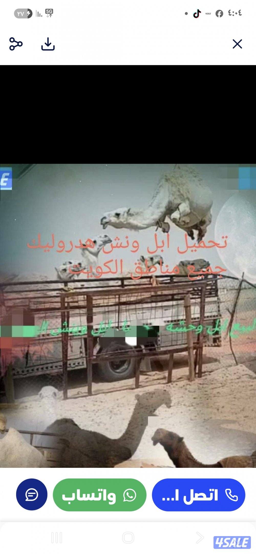 نشتري ابل وحشوونش تحمل بل 120