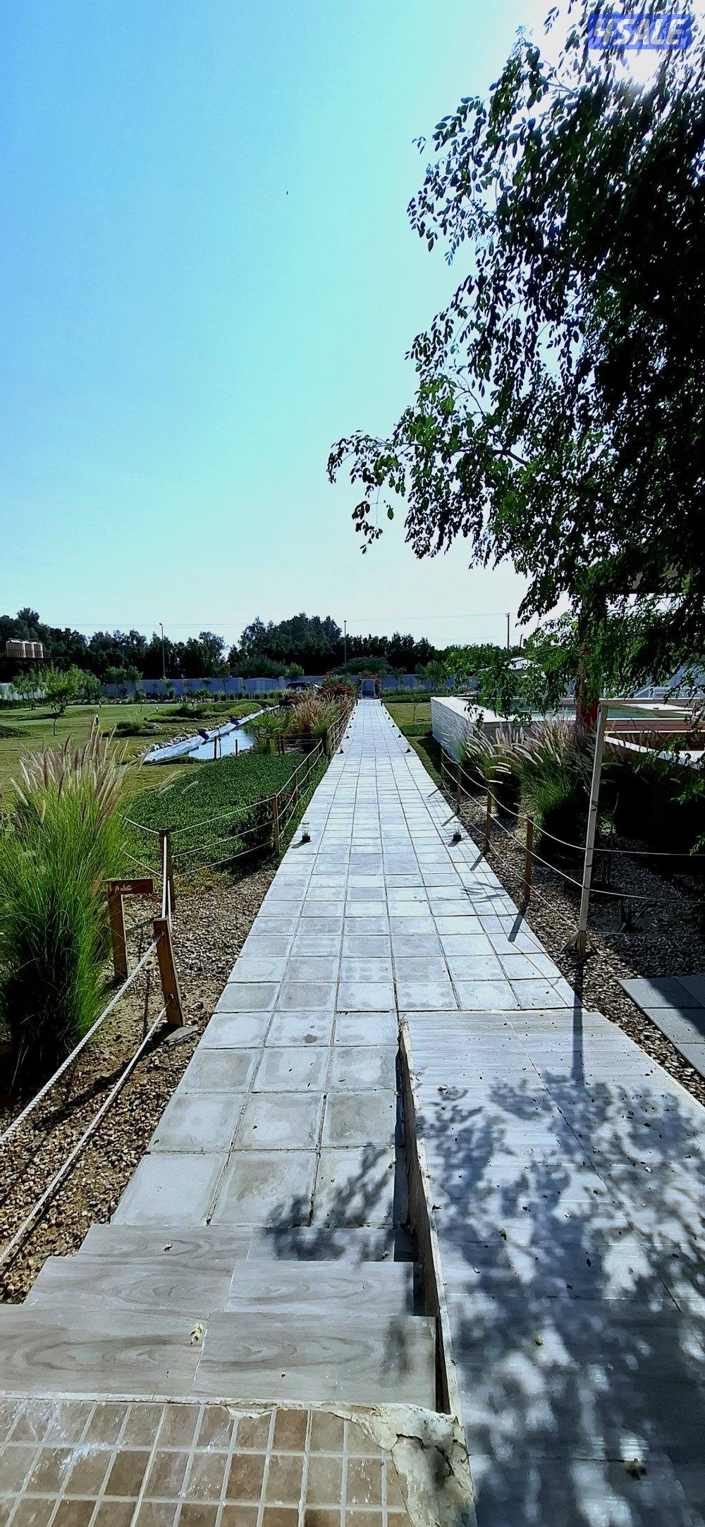 مزرعه AFARM فى الوفره طريق 3001