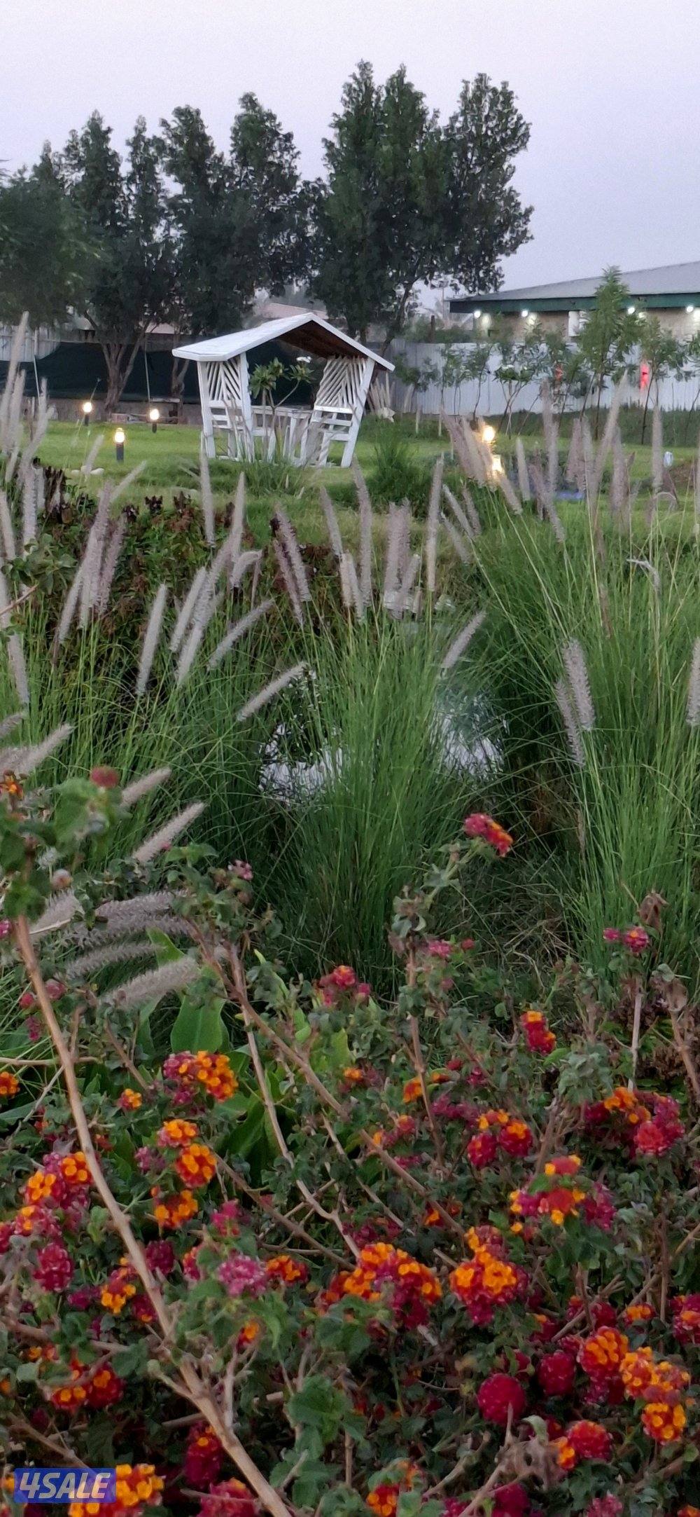 مزرعه AFARM فى الوفره طريق 3005