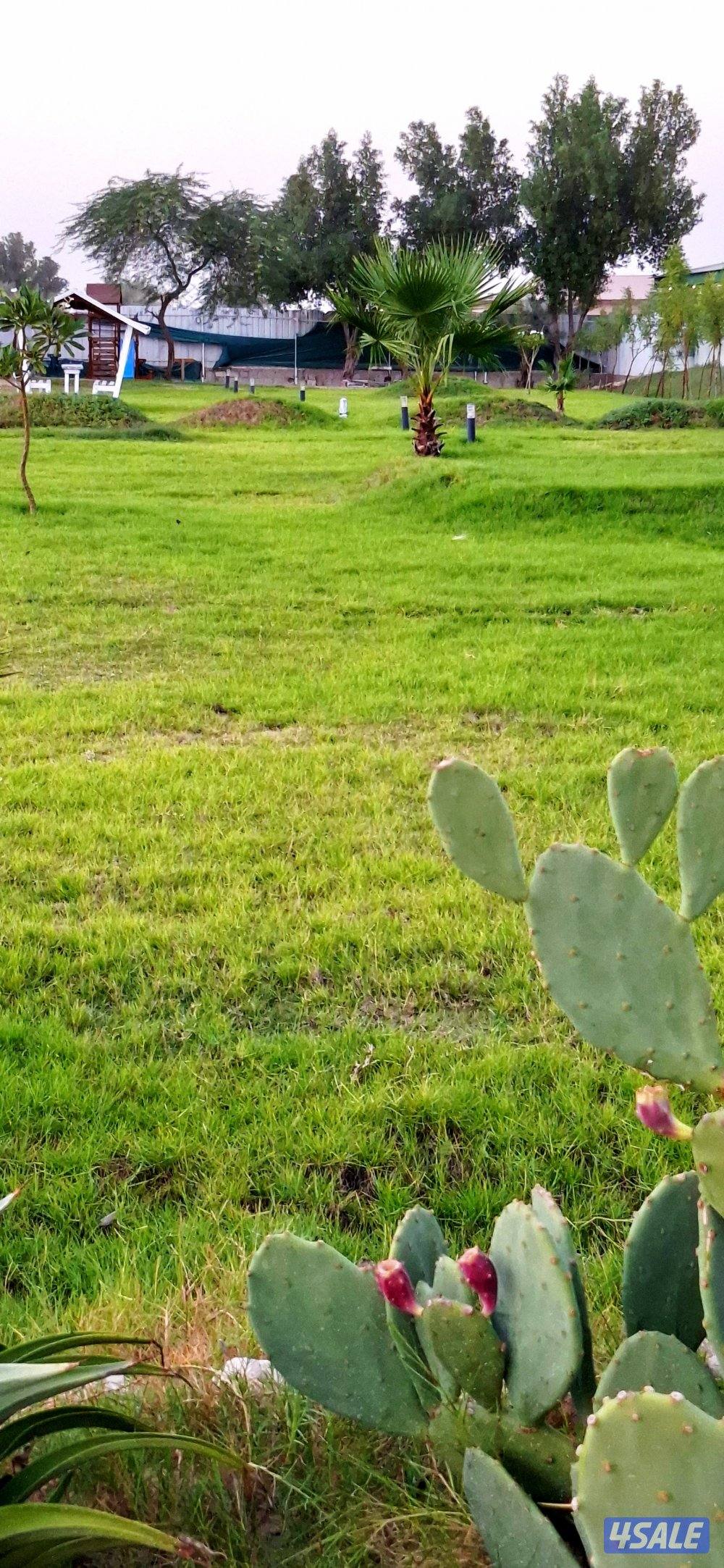 مزرعه AFARM فى الوفره طريق 3007